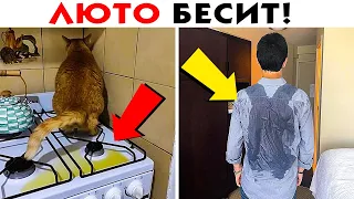 55 Люто Бесящих Вещей, Которые Всех Раздражают!