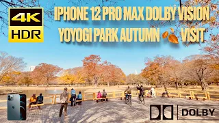 Yoyogi Park Autumn leaves ride. 4K 60FPS DOLBY VISION HDR iPhone 12 Pro Max