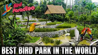 Singapore Bird Paradise Park Tour 2024