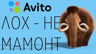 Новый развод на Авито. Avito  Доставка. (Обзор примеров и личный опыт)