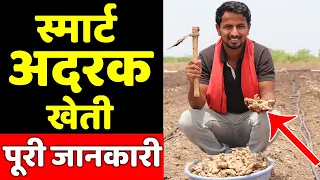अदरक की खेती कब और कैसे की जाती है🤔Ginger Farming in India | Ginger Cultivation | Indian Farmer