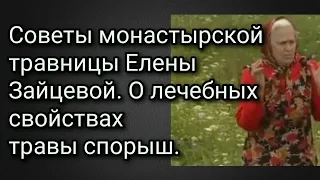 Советы монастырской травницы Елены Зайцевой. О лечебных свойствах травы спорыш.