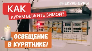 Освещение в курятнике. Как сохранить хорошую яйценоскость зимой.