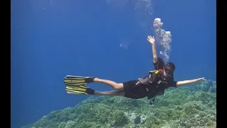 Halle Bailey Ariel underwater