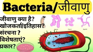 जीवाणु क्या है ?|| What is bacteria in hindi || bacteria ke prakar ||jivanu kya hote hain?||