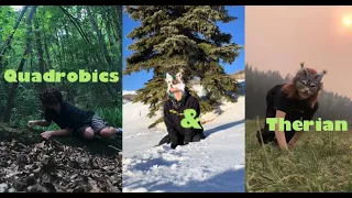 Therian and Quadrobics TikToks Compilation Alterhumans of TikTok #3