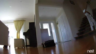 roomba attacks the camera