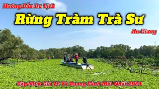 Rừng Tràm Trà Sư - An Giang 2024 | Quá Nhiều Thay Đổi Ngày Trở Lại | Hướng Dẫn Chi Tiết