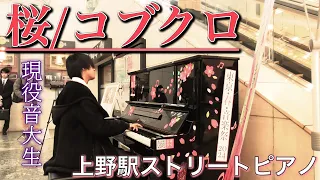 上野駅で現役音大生が桜の名曲を弾いてみた【コブクロ】【東京・春・音楽祭】