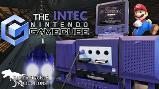 Ridiculous GameCube Accessories by Intec | Retro Rampage