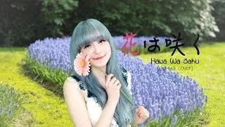 Jemma - Hana Wa Saku 花は咲く(Flowers Will Bloom)