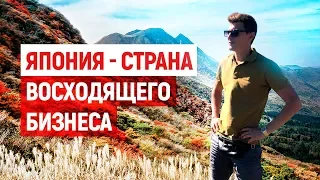 Ковпак PRO Японию. Бизнес и недвижимость в Токио. Секрет успеха нации самураев..