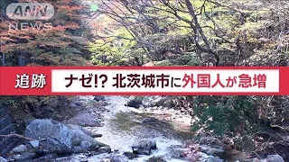 北茨城市に外国人が急増　“普通の一軒家”が茨城県の魅力度アップに一役…一体なぜ？【Jの追跡】(2023年12月9日)