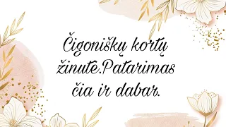 Čigoniškų kortų žinutė.Patarimas čia ir dabar🧚‍♀️