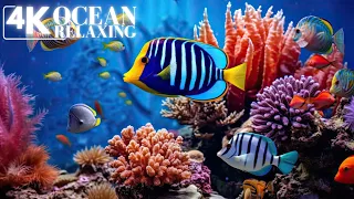 Relaxing ocean music to relieve stress | Underwater relaxation in 4K ..
