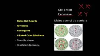 Human Genetic Diseases to Know