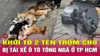 Khởi tố 2 tên trộm chó ở TP.HCM bị tài xế ô tô tông ngã nháo nhào vứt xe máy bỏ chạy | THVN