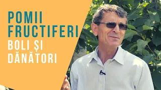 Boli și dănători la pomii fructiferi - vara | VIAȚA ÎN GRĂDINĂ