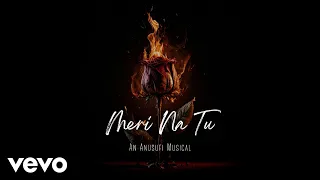 Anusufi - Meri Na Tu (Lo-Fi) [Official Audio]
