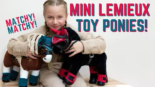 MINI LEMIEUX TOY CUDDLY PONIES! - Matchy Matchy sets!