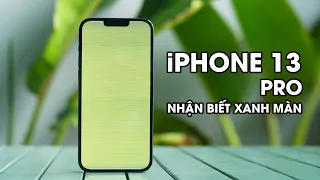Cách né iPhone 13 Pro màn xanh