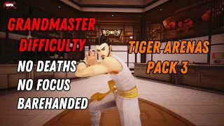 Sifu - Tiger Arenas Pack 3 All Levels | Grandmaster Difficulty,No Deaths/Focus/Weapons