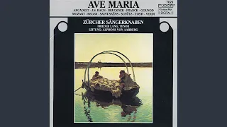 Ave Maria, Op. 52 No. 6, D. 839 "Hymne an die Jungfrau": Ellen's Gesang III (Ave Maria!) , Op....