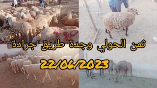 اثمنة أضحية العيد مباشرة من سوق طريق جرادة وجدة ثمن الخروف والخروفة والمتوسط🔥22/06/2023