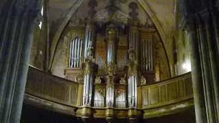 BACH.J.S Choral de Noel Viens Sauveur des païens BWV 659 Pierre ASTOR orgue  St Nicolas Neufchâteau