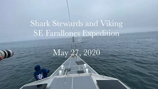 SE Farallon Island Dive with  Shark Stewards and Trident on Viking