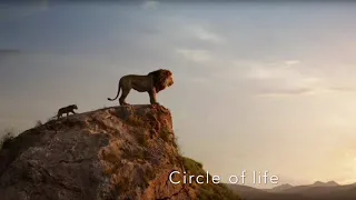 Nightcore - Circle Of Life (The Lion King 2019)