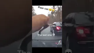 car crash with Animal