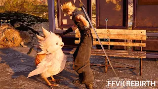 FFVII Rebirth Demo: Cloud Pets Baby Chocobo And Rests/Wakes Up With It