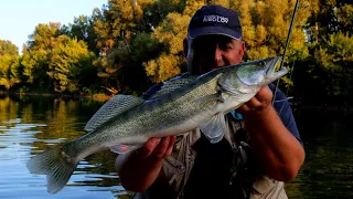 Smuđ - ljetni ribolov na filet i repić / 4k