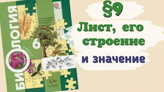 Краткий пересказ §9 Лист, его строение и значение. Биология 6 класс Пономарева