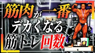 【筋トレ回数】筋肉が最も早く大きくなる超効率的な回数！日体大准教授が正しい回数を断言します！！