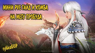 Black desert : МЭГУ МИНИ ГАЙД ПРОБУДА / КОМБА + МОРФЫ