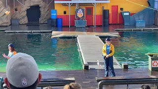 Sea World at Gold Coast - Australia. Seal show