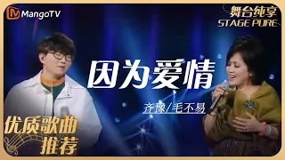 华语乐坛10年最具影响力歌曲｜齐豫/毛不易《因为爱情》丨MangoTV