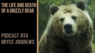 PODCAST #34: Bryce Andrews - The Life and Death of a Grizzly Bear