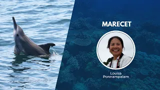 A Deep Dive on Protecting Malaysia's Dolphins and Dugongs | Wildlife Conservation Expo