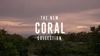 The YETI Coral Collection | Inspired by True Events