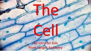 The Cell - an intro for kids - Sanger Academy