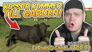 KOSSOR KOMMER TILL GÅRDEN! | Farming Simulator 22 - S2E22