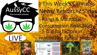 @AussyCC Live; Fungi & Microbial Consumption Risks Study, Total Yeast & Mold level Study. Safe Usage