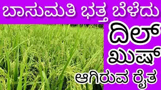 Basumathi Paddy ಬೆಳೆದು ಬಹುತ್ Khush / Udupi dist Farmer Experimental ಆಗಿ ಬಾಸುಮತಿ ಭತ್ತ ಬೆಳೆದು Success