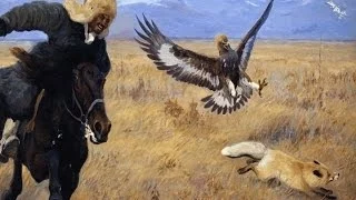 Охота беркута на лису Eagle hunting fox!!!