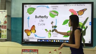 Butterfly life Cycle :Kinder E-learning Science Lesson