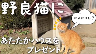 寒さで凍える野良猫に暖かハウスをプレゼントしたら・・・【ネコ・保護猫】