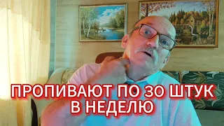 ПРОПИВАЮТ ПО 30 ШТУК В НЕДЕЛЮ . НЕ УСПЕВАЮТ ЗА ТАКИМ ЧИСЛОМ ПЬЯНИЦ